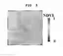 Fig. 06 - Method for estimating land surface temperature lapse rate using infrared image