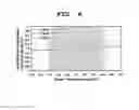Fig. 07 - Method for estimating land surface temperature lapse rate using infrared image