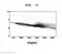 Fig. 12 - Method for estimating land surface temperature lapse rate using infrared image