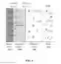 Fig. 07 - System for detection of analytes