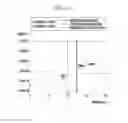 Fig. 07 - Apparatus and method for detecting defect of press panel