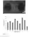Fig. 20 - Assay supports comprising a peg support, said support attached from a peg solution in cloud point (theta solvent) conditions