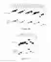 Fig. 05 - POLYVALENT CHIMERIC OSPC VACCINOGEN AND DIAGNOSTIC ANTIGEN