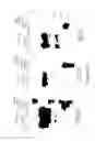 Fig. 12 - POLYVALENT CHIMERIC OSPC VACCINOGEN AND DIAGNOSTIC ANTIGEN