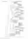 Fig. 30 - POLYVALENT CHIMERIC OSPC VACCINOGEN AND DIAGNOSTIC ANTIGEN
