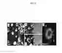 Fig. 10 - Materials and methods for assaying living cells