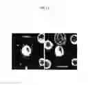 Fig. 12 - Materials and methods for assaying living cells
