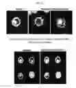 Fig. 16 - Materials and methods for assaying living cells