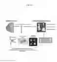 Fig. 17 - Materials and methods for assaying living cells