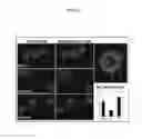 Fig. 25 - Materials and methods for assaying living cells