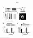 Fig. 26 - Materials and methods for assaying living cells