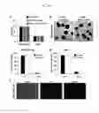 Fig. 29 - Materials and methods for assaying living cells