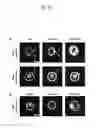 Fig. 30 - Materials and methods for assaying living cells