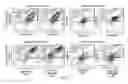 Fig. 12 - METHODS FOR DIAGNOSIS, PROGNOSIS AND METHODS OF TREATMENT