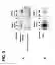 Fig. 10 - USE OF TENASCIN-C AS AN EXTRACELLULAR MARKER OF TUMOR-DERIVED MICROPARTICLES