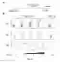 Fig. 11 - Intercellular labeling of ligand-receptor interactions