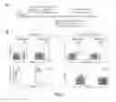 Fig. 12 - Intercellular labeling of ligand-receptor interactions