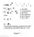 Fig. 19 - Methods and kits for detecting misfolded proteins