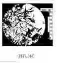 Fig. 14 - Sensor suite and signal processing for border surveillance