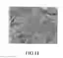 Fig. 18 - Sensor suite and signal processing for border surveillance