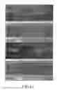 Fig. 41 - Sensor suite and signal processing for border surveillance