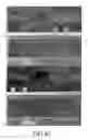 Fig. 42 - Sensor suite and signal processing for border surveillance