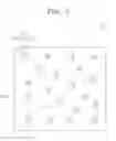 Fig. 06 - Light guide plate, backlight unit having the same, display apparatus having the same, and method of manufacturing the same