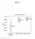 Fig. 11 - DISPLAY DEVICE AND MANUFACTURING METHOD THEREOF