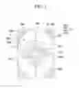 Fig. 02 - LIQUID CRYSTAL DISPLAY