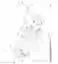 Fig. 05 - Spindle mountable camera system