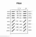 Fig. 07 - Image forming apparatus
