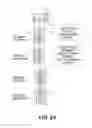 Fig. 17 - Image forming apparatus with cleaning mode