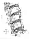Fig. 07 - Image forming apparatus comprising connecting mechanism configured to electrically connect high-voltage board and unit