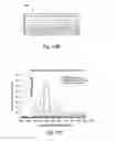 Fig. 16 - Surface relief volume reflective diffractive structure