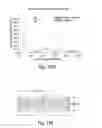 Fig. 22 - Surface relief volume reflective diffractive structure