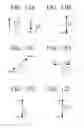 Fig. 13 - Display apparatus and method for controlling the same according to an eye gaze and a gesture of a user
