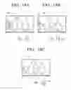 Fig. 19 - Display apparatus and method for controlling the same according to an eye gaze and a gesture of a user