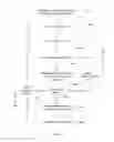 Fig. 09 - Source code violation matching and attribution