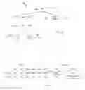 Fig. 17 - Natural language processing utilizing propagation of knowledge through logical parse tree structures