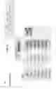 Fig. 06 - Managing write accesses during database upgrade procedure