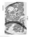 Fig. 04 - Applying pixelwise descriptors to a target image that are generated by segmenting objects in other images