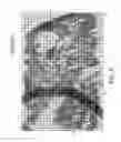 Fig. 08 - Applying pixelwise descriptors to a target image that are generated by segmenting objects in other images