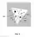 Fig. 07 - Image adaptive physiologically plausible color separation