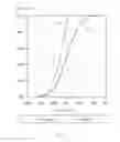 Fig. 04 - Path-Dependent Market Risk Observer