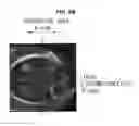 Fig. 16 - Imaging apparatus and controlling method thereof the same