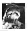 Fig. 26 - Imaging apparatus and controlling method thereof the same