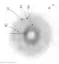 Fig. 01 - Multidimensional halo-based visualization system