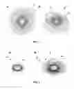 Fig. 03 - Multidimensional halo-based visualization system