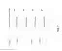 Fig. 08 - Method and apparatus for processing image