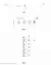 Fig. 02 - COMBINING A DIGITAL IMAGE WITH A VIRTUAL ENTITY